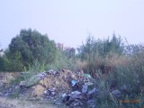  - Очередная свалка мусора в городе Электроугли