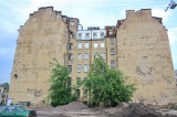 Санкт-Петербург - Петроградский район.  Эти деревья снесли летом 2010 года.