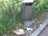 Франция - мусор возле мусора