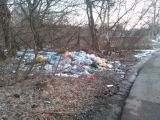 Курск - Много мусора