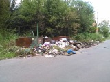Курск - Хроники войны коммунальщиков с мусором